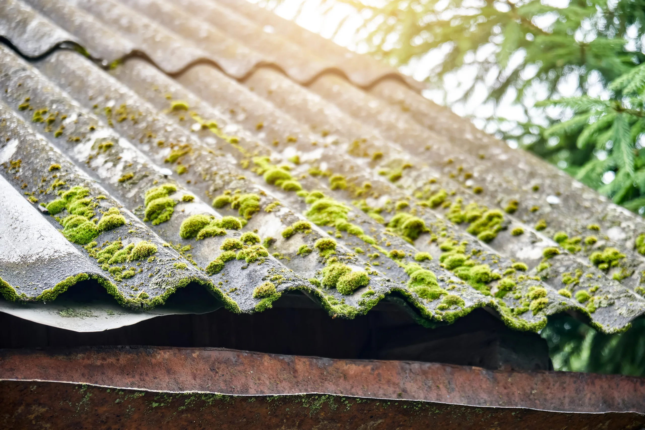 cost of moss removal from roof Saint Helens cost of moss removal from roof Saint Helens
