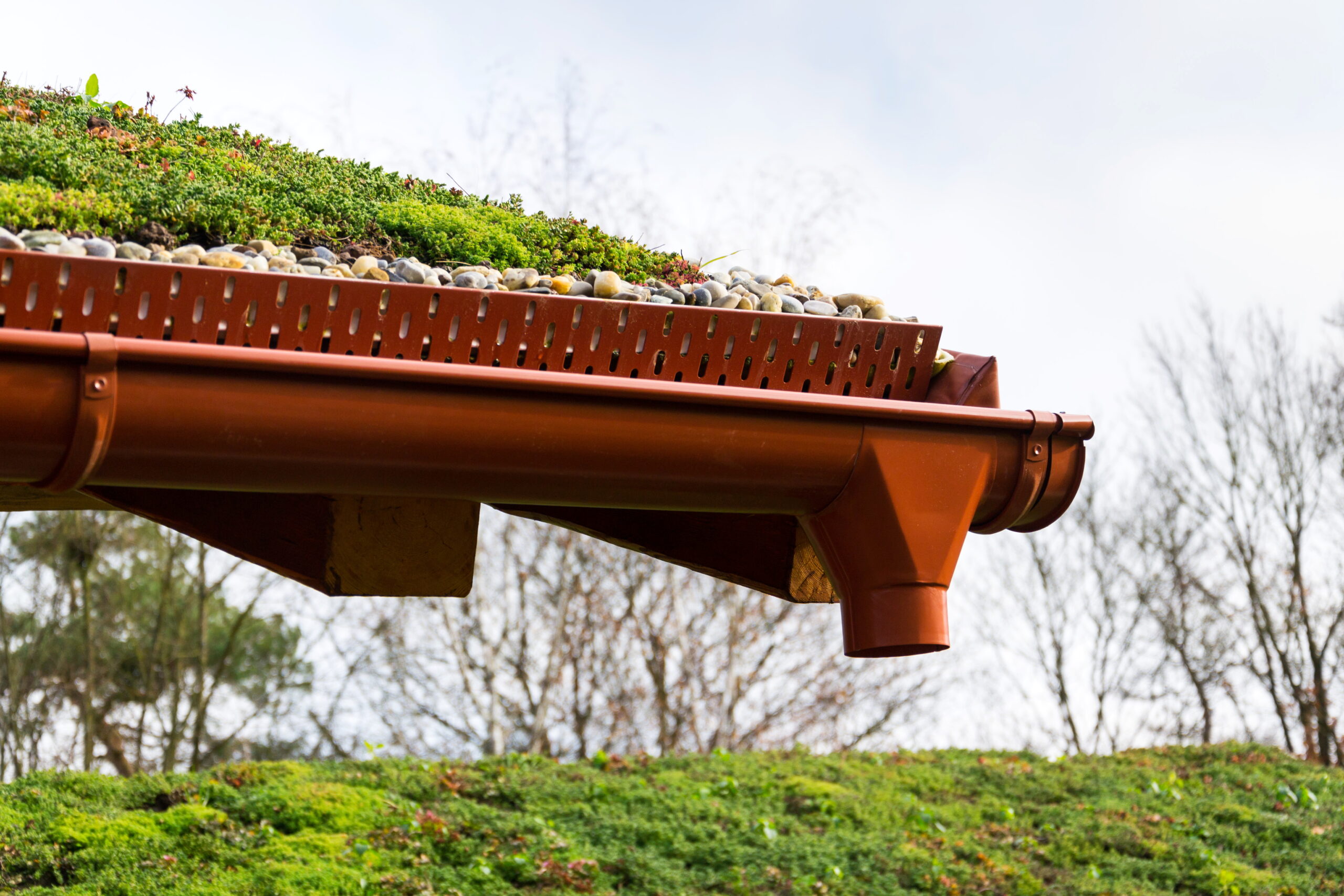 Detail of stones on extensive green living roof vegetation covered professional gutter cleaning