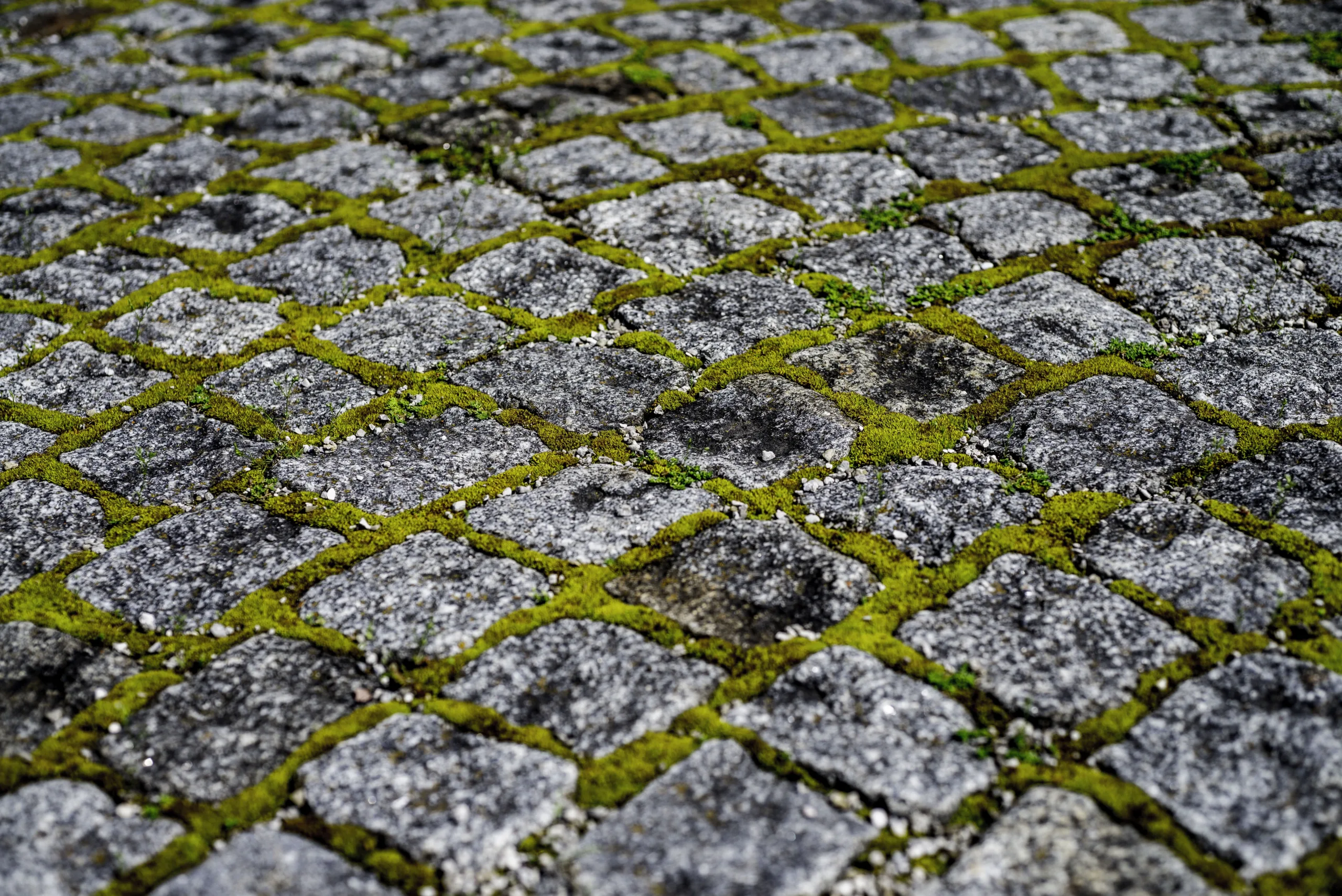 moss killer for block paving Saint Helens moss killer for block paving Saint Helens