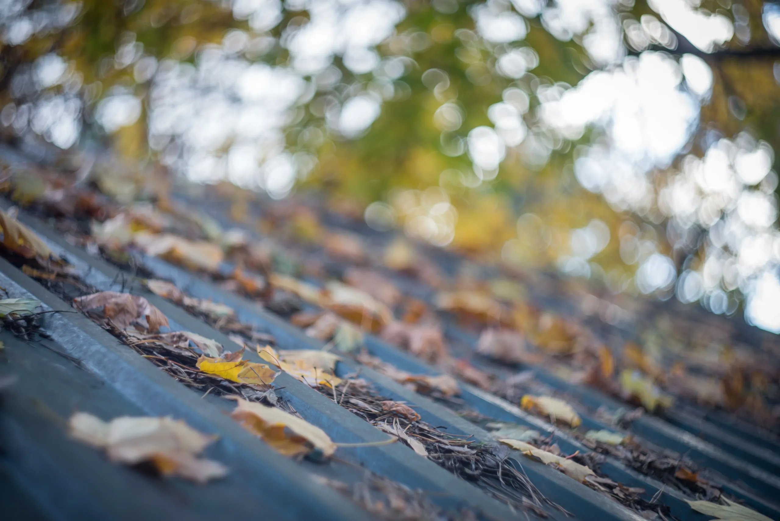 clean my gutters Saint Helens clean my gutters Saint Helens.