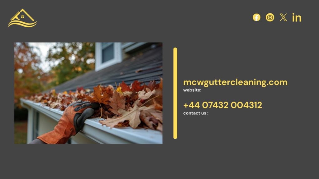 professional roof cleaning