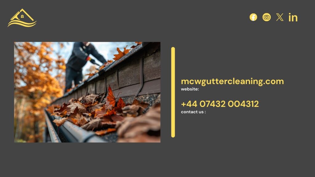 roof cleaning services roof cleaning services