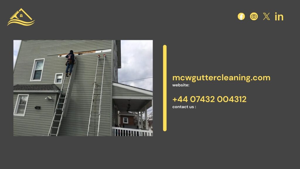 roof mold removal near me roof mold removal near me