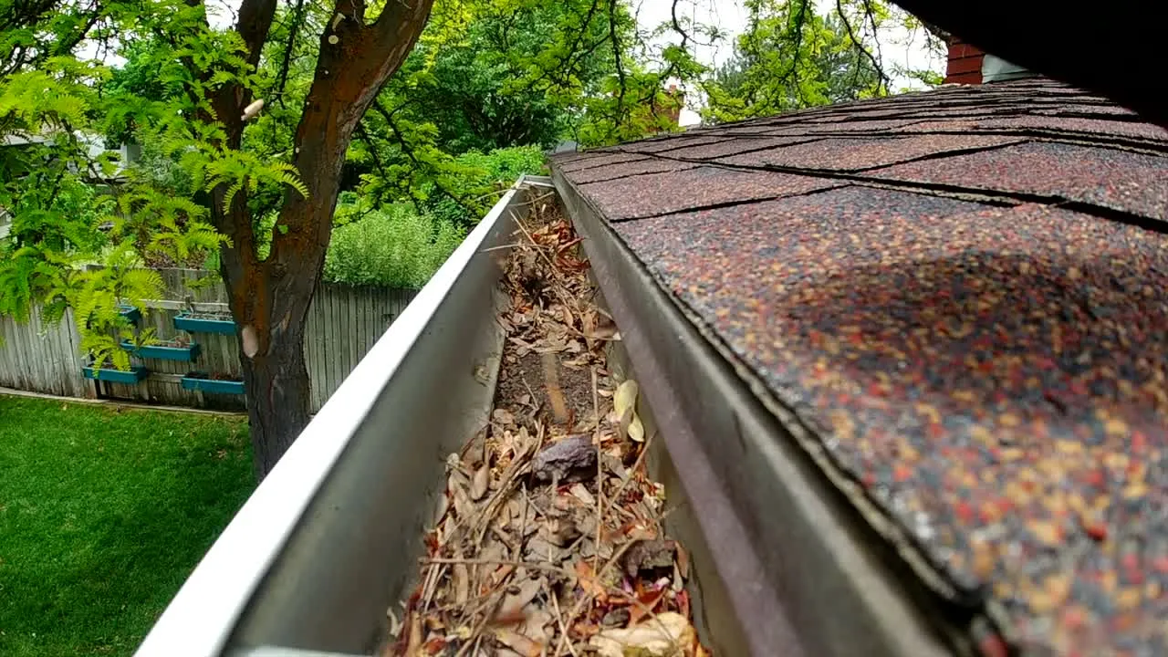 Moss removal from gutters