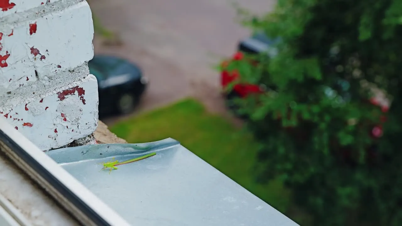 Residential gutter cleaning